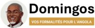 Logo de l'entreprise Domingos Conseil, entreprise de conseil en formalités administratives pour l'Angola